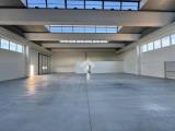 Affitto, Superfici commerciali, PAESE, 6.000 €, 1300,00 mq