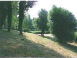 Particella, CONEGLIANO, 270.000 €, 1000,00 mq