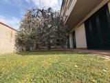 Appartamento, EMPOLI, 380.000 €, 195,00 mq