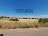 Particella, COMISO, 400.000 €, 12000,00 mq