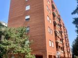 Affitto, Appartamento, ALESSANDRIA, 550 €, 120,00 mq