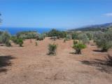 Particella, CONTRADA, 110.000 €, 29190,00 mq