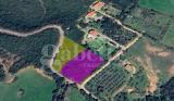 Particella, OLBIA, 45.000 €, 4000,00 mq