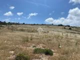 Particella, CONTRADA, 35.000 €, 5130,00 mq