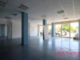 Affitto, Superfici commerciali, LUCCA, 1.700 €, 350,00 mq