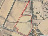 Particella, CASTIADAS, 40.000 €, 16000,00 mq