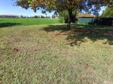 Particella, COTIGNOLA, 85.000 €, 600,00 mq