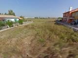 Particella, TAGLIO DI PO, 75.000 €, 742,00 mq