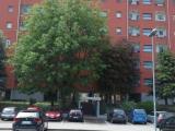 Affitto, Appartamento, SETTIMO MILANESE, 800 €, 65,00 mq