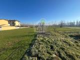 Particella, MIRADOLO TERME, 120.000 €, 4362,00 mq
