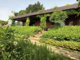Particella, SCANDICCI, 375.000 €, 2000,00 mq