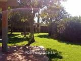 Appartamento, GROSSETO, 420.000 €, 110,00 mq