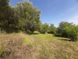 Particella, AGROPOLI, 145.000 €, 10000,00 mq