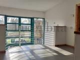 Affitto, Superfici commerciali, LUCCA, 2.300 €, 320,00 mq