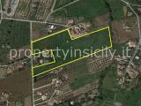 Particella, VELLETRI, 1.450.000 €, 33671,00 mq