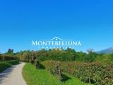 Particella, VOLPAGO DEL MONTELLO, 750.000 €, 500,00 mq