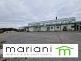 Affitto, Superfici commerciali, CIAMPINO, 8.000 €, 2050,00 mq