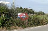 Particella, PONTE, 49.000 €, 5200,00 mq