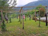 Particella, CAMAIORE, Nocchi, 50.000 €, 3800,00 mq