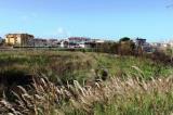 Particella, SCALEA, 75.000 €, 6650,00 mq