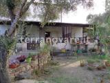 Casa, LOIRI PORTO SAN PAOLO, 215.000 €, 205,00 mq