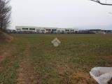 Particella, CIRIÈ, 32.500 €, 6500,00 mq