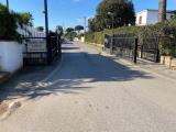 Particella, SAN FELICE CIRCEO, 95.000 €, 980,00 mq