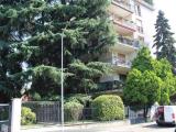 Affitto, Appartamento, MONZA, 900 €, 85,00 mq