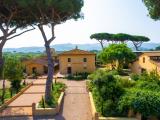 Superfici commerciali, CASTAGNETO CARDUCCI, <i>A richiesta</i>, 16000,00 mq