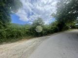 Particella, TERNI, Porzano, 55.000 €, 7362,00 mq