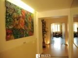 Superfici commerciali, ROMA, 790.000 €, 520,00 mq