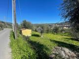 Particella, IMPERIA, 40.000 €, 3305,00 mq