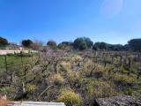 Particella, NICOLOSI, 30.000 €, 1000,00 mq