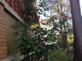 Appartamento, SCANDICCI, 380.000 €, 140,00 mq