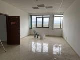 Affitto, Superfici commerciali, GROSSETO, 900 €, 90,00 mq