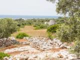 Particella, MODUGNO, 98.000 €, 505,00 mq