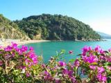 Appartamento, LERICI, 450.000 €, 104,00 mq