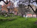 Particella, TAORMINA, 68.000 €, 60,00 mq
