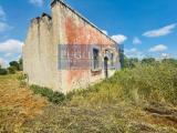 Particella, CASTELLANA GROTTE, 75.000 €, 17050,00 mq