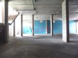 Affitto, Superfici commerciali, ANGUILLARA SABAZIA, 1.600 €, 430,00 mq
