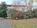 Casa, PIACENZA, 590.000 €, 240,00 mq