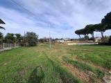 Particella, NERETO, 35.000 €, 750,00 mq