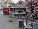 Superfici commerciali, NOLI, 65.000 €, 20,00 mq