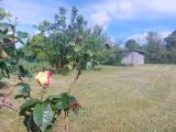 Particella, SOLARO, 30.000 €, 1000,00 mq