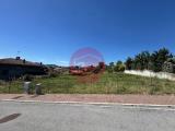 Particella, TORRIANA, 280.000 €, 800,00 mq