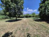 Particella, SEGNI, 45.000 €, 2400,00 mq