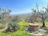 Particella, AREZZO, 65.000 €, 8000,00 mq