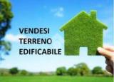 Particella, CASTELFRANCO EMILIA, 60.000 €, 500,00 mq