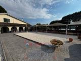 Superfici commerciali, MONTEROSI, 370.000 €, 240,00 mq