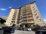Affitto, Appartamento, PALERMO, Sferracavallo, 680 €, 110,00 mq